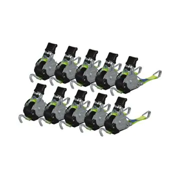 10er SET Automatik-Zurrgurt 25mm x 3,00m mit Doppelspitzhaken, grün