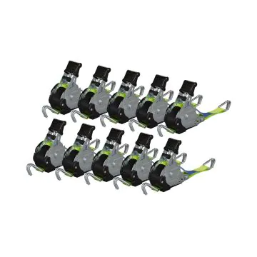 10er SET Automatik-Zurrgurt 25mm x 3,00m mit Doppelspitzhaken, grün