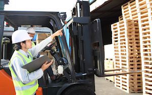 Cargo securing becomes an integral part of professional driver training.